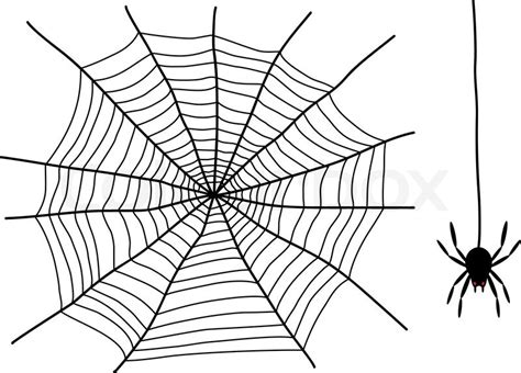 Black spider and spider web isolated ... | Stock vector | Colourbox