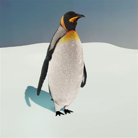 Emperor Penguin - 3D Model by Petar Doychev