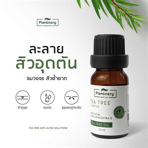 Plantnery Tea Tree Oil Acne Spot 10 Ml Plantnery ประเทศไทย