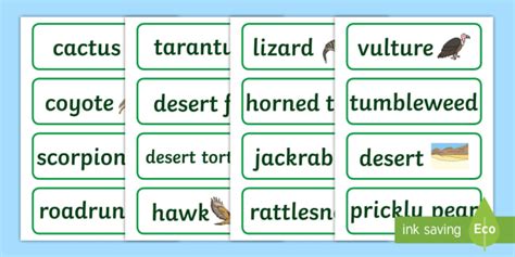 Desert Habitat Word Cards Teacher Made