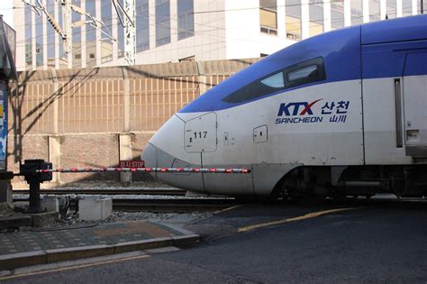 high speed train train images pixabay
