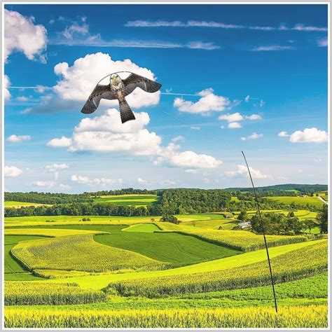 Flyonte Birds Scaring Hawk Flying Kite With Pole Simulated Hawk Flash