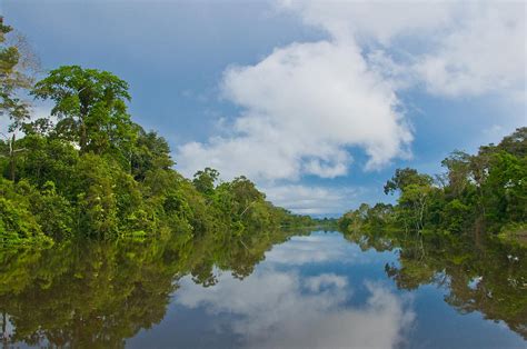 Amazon River In Peru Photograph by Michael Lustbader - Pixels