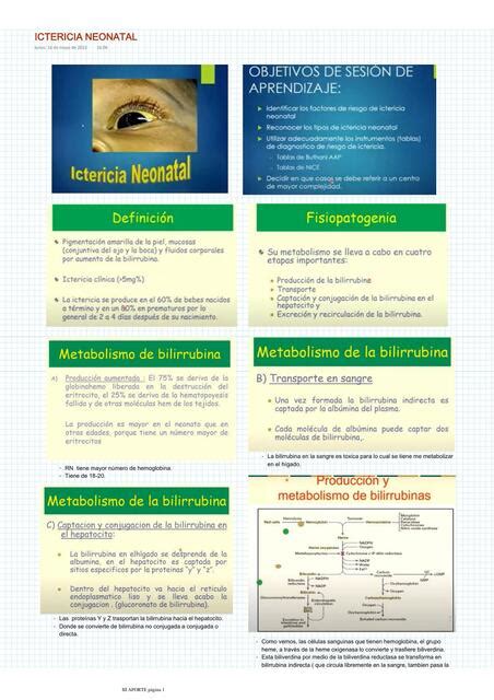 Ictericia Neonatal Gabriela Milagros Ortega Rivas UDocz