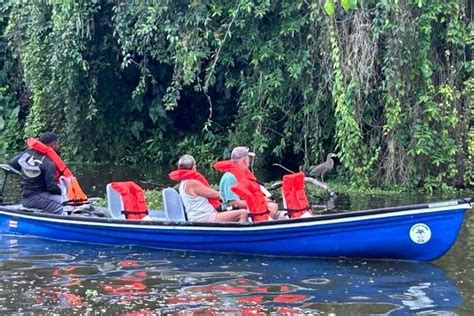 Kanutour im Nationalpark Tortuguero zur Verfügung gestellt von