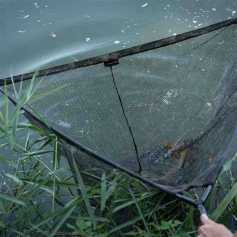 Advanta Carp Rods Expert Angler Review Angling Direct