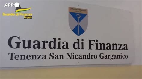 Scuola Valditara Piano Di Vigilanza Per Contrastare I Diplomifici