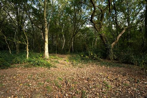 Woodland And Habitat Restoration Works In Stadt Moers Park Knowsley News