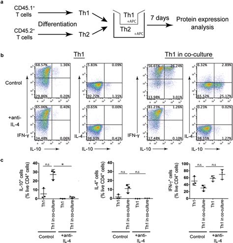 Secreted Th2 Derived Il 4 Increases Production Of Il 10 In Th1 Cells