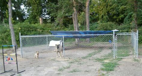 Should I Build or Buy a Dog Kennel Run? | PetHelpful