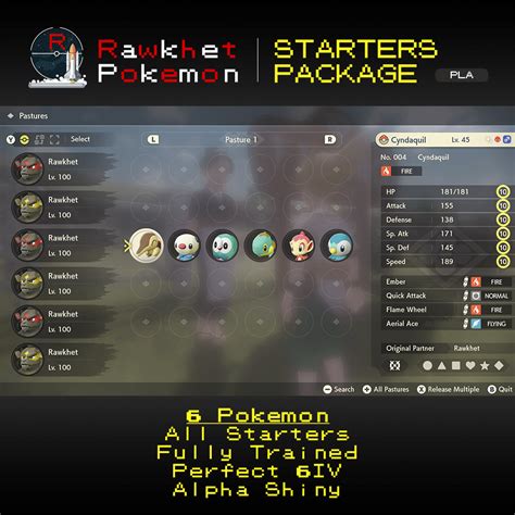 Starters Package X Iv Shiny Alpha Pokemon Legends Arceus