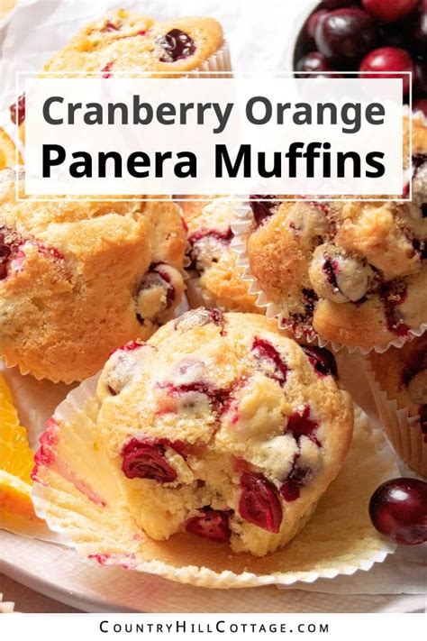 Panera Cranberry Orange Muffins Recipe Recipe Orange Muffin Recipe