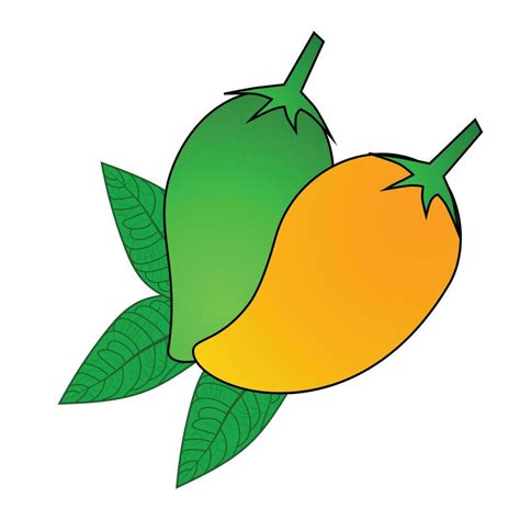 Mango vector. Yellow and green mango on white background. logo design. Mango cartoon vector ...