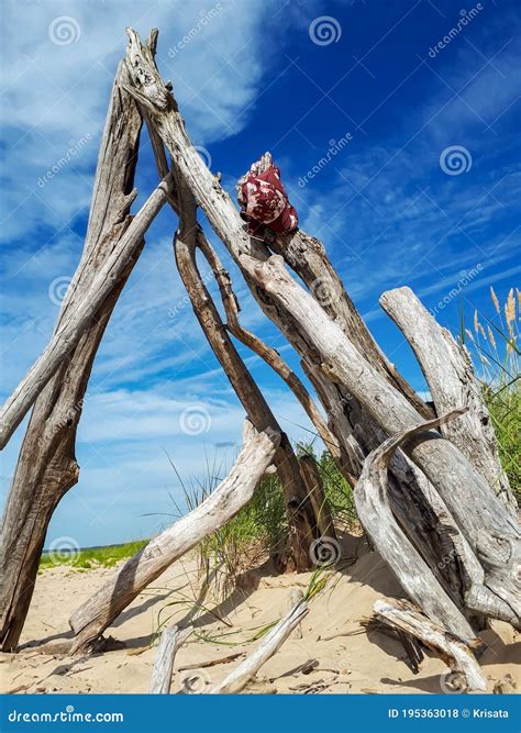 Bikini Bikini Biqu Ni Pendurado Num Galho De Rvore Seca Na Praia Luz Do Sol Conceito De