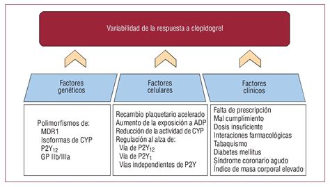 Inhibici N Del Receptor Plaquetario P Y De Adenosina Difosfato