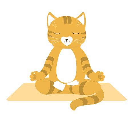 Cartoon Funny Cats Doing Yoga Position Isolated On White Background