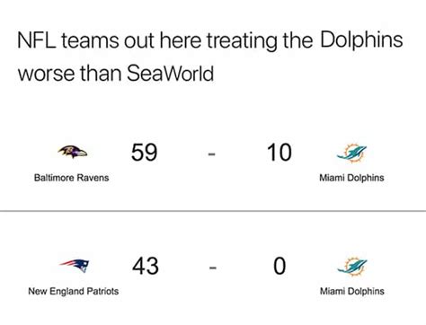 The 25 Funniest Miami Dolphins Memes, Ranked