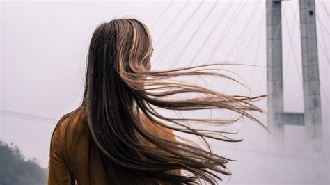 80,000+ Best Hair Photos · 100% Free Download · Pexels Stock Photos