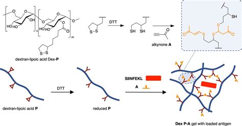 Dynamic Covalent Dextran Hydrogels As Injectable Self Adjuvating