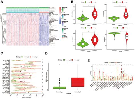 Identification And Validation Of A Twelve Immune Infiltration Related