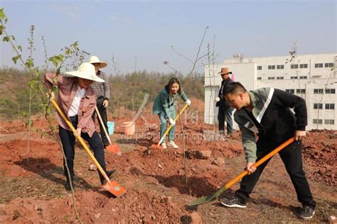 江西赣州：义务植树添新绿 人民图片网