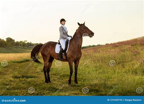 Sport Questre Cheval D Quitation De Jeune Femme Sur L Essai Avanc De