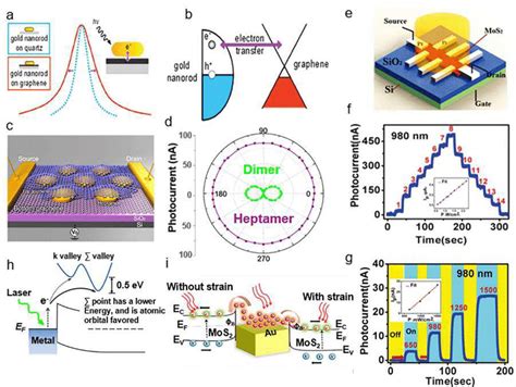 Hot Electron Photodetection Coupled With 2D Materials A Plasmon