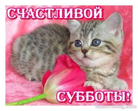Открытка Счастливой субботы!
