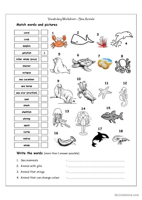 Vocabulary Matching Worksheet Sea English Esl Worksheets Pdf And Doc