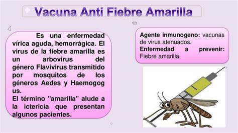 Vacuna Anti Fiebre Amarilla Medicina Óptima uDocz