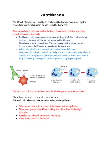 Aqa Gcse Biology 9 1 Chapter B4 Complete Revision Teaching Resources