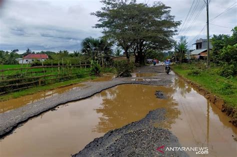 Kerusakan Badan Jalan Aceh Timur Gayo Lues Semakin Parah Antara News Aceh