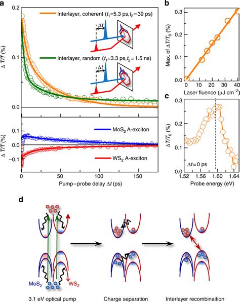 Ultrafast Time Resolved Exciton Dynamics Of Coherently Randomly Stacked