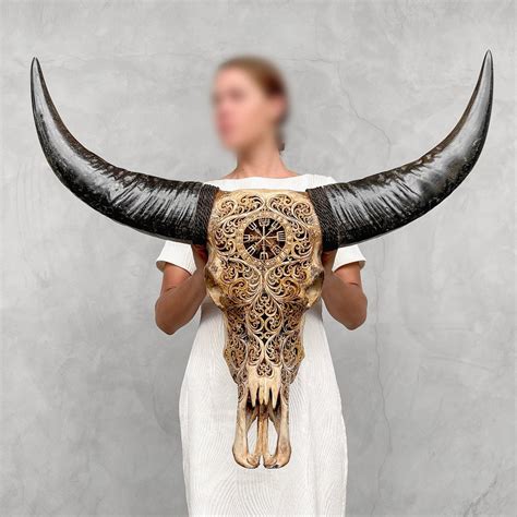 C Extra Large Authentic Hand Carved Brown Water Buffalo Skull Trisula