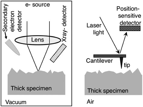 Microscopy 101 Scanning Probes Or Scanning Electrons A Practical