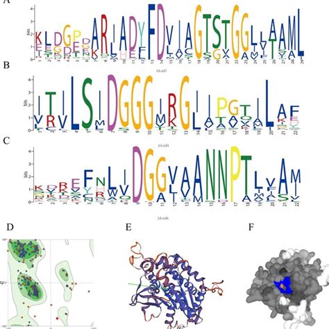 The Gene Structure Conserved Motifs And Domains In PPLA Genes Between