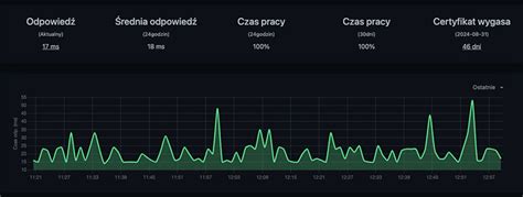 Monitoring Usług Internetowych Uptime Kuma