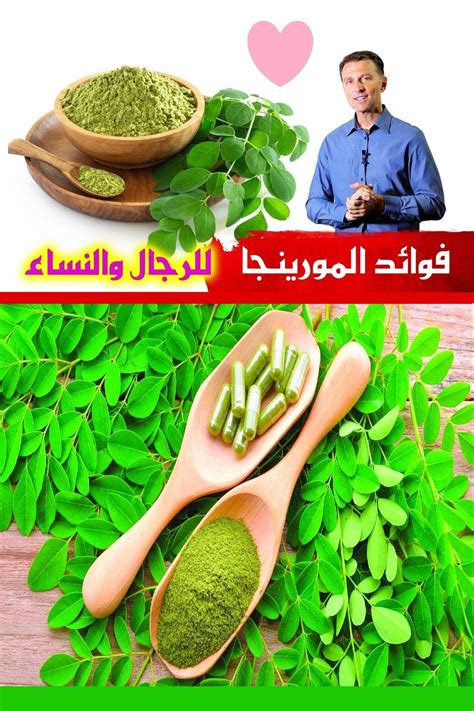 فوائد المورينجا للنساء والرجال وطريقة استعمالها الصحيحة Moringa