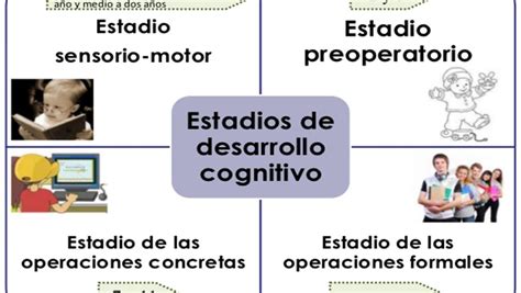 Teoria De Piaget Las Cuatro Etapas De Desarrollo De La Inteligencia