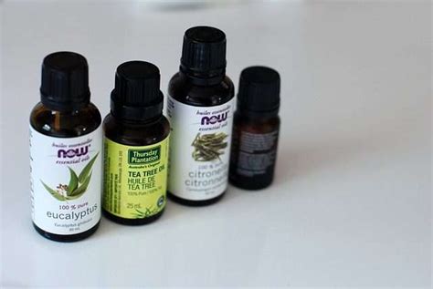 7 Best Essential Oils For Ear Infection