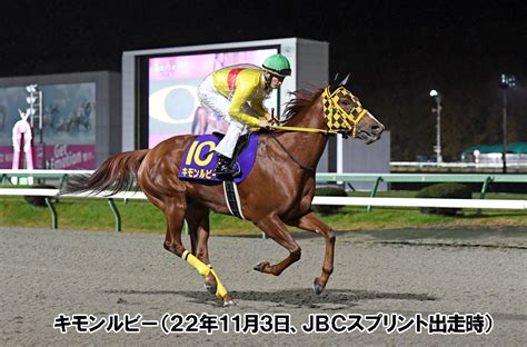 船橋競馬2022 サンスポzbat