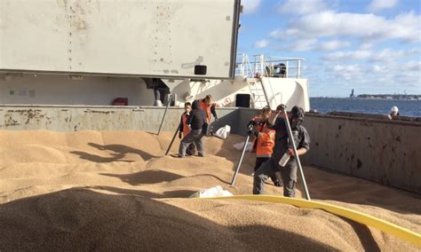 Fumigation In Ship Holds Fumiteam