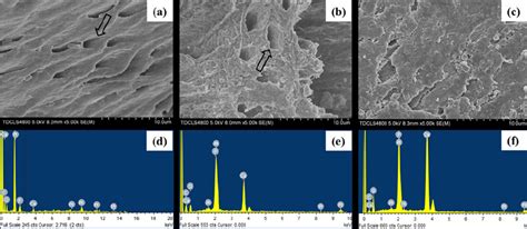 The Surface Morphology And Elemental Compositions Of Representative