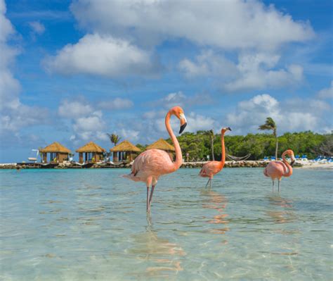 Aruba Private Islands - Renaissance & De Palm Island