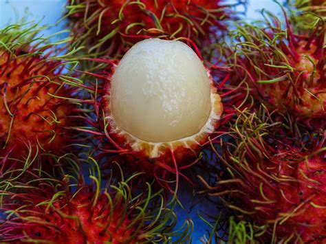 Rambutan Sweet Delicious Fruit Free Stock Photo Public Domain Pictures