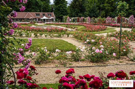 La Roseraie du Val de Marne à l Haÿ les Roses le jardin remarquable et