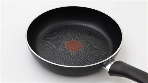 Tefal Generous Cook Non Stick Induction Frypan 24cm Review Frypan