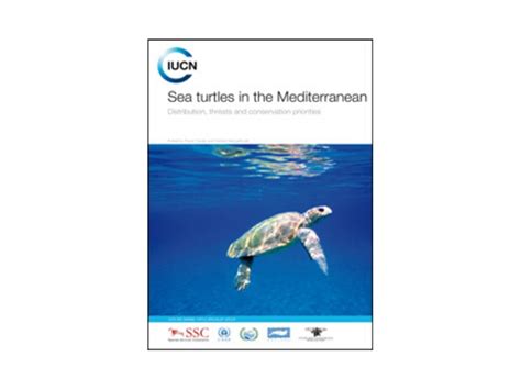 A New MTSG Publication Released on the Sea Turtles of the Mediterranean ...