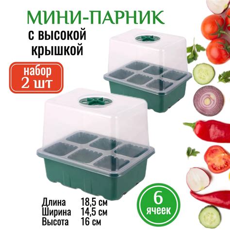 Набор для рассады купить на OZON по низкой цене (1781668285)
