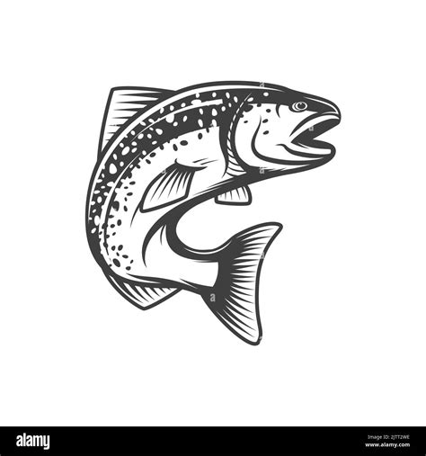 Salmon Fish Fishing Or Food Vector Icon Of Freshwater Or River Fishes